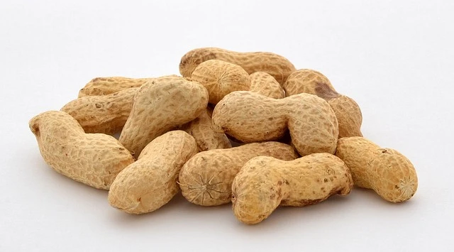 Luteolin Extract