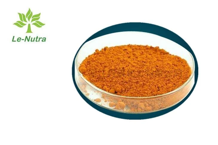 Amphotericin B Bulk