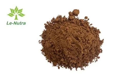 Extrait de cacao