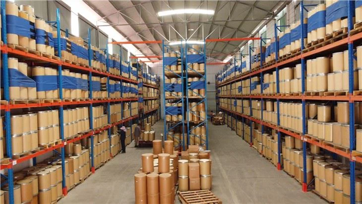 Scutellaria Baicalensis Powder