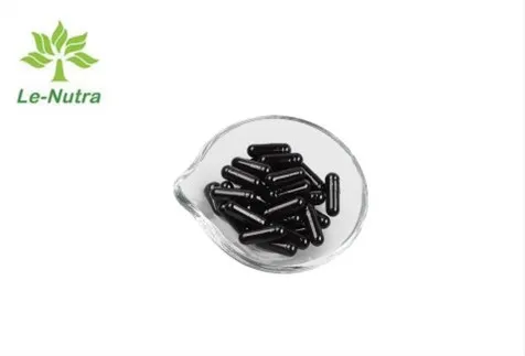 Capsules entériques vides